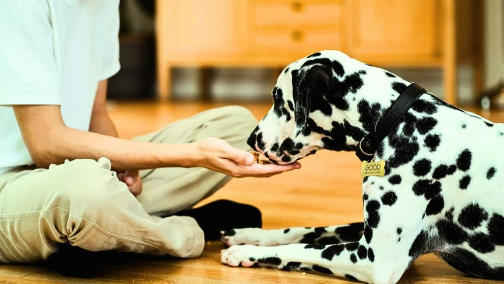 Expert-Tips-for-Long-Term-Home-Sharing-Success-with-hapipod-15-1024x576