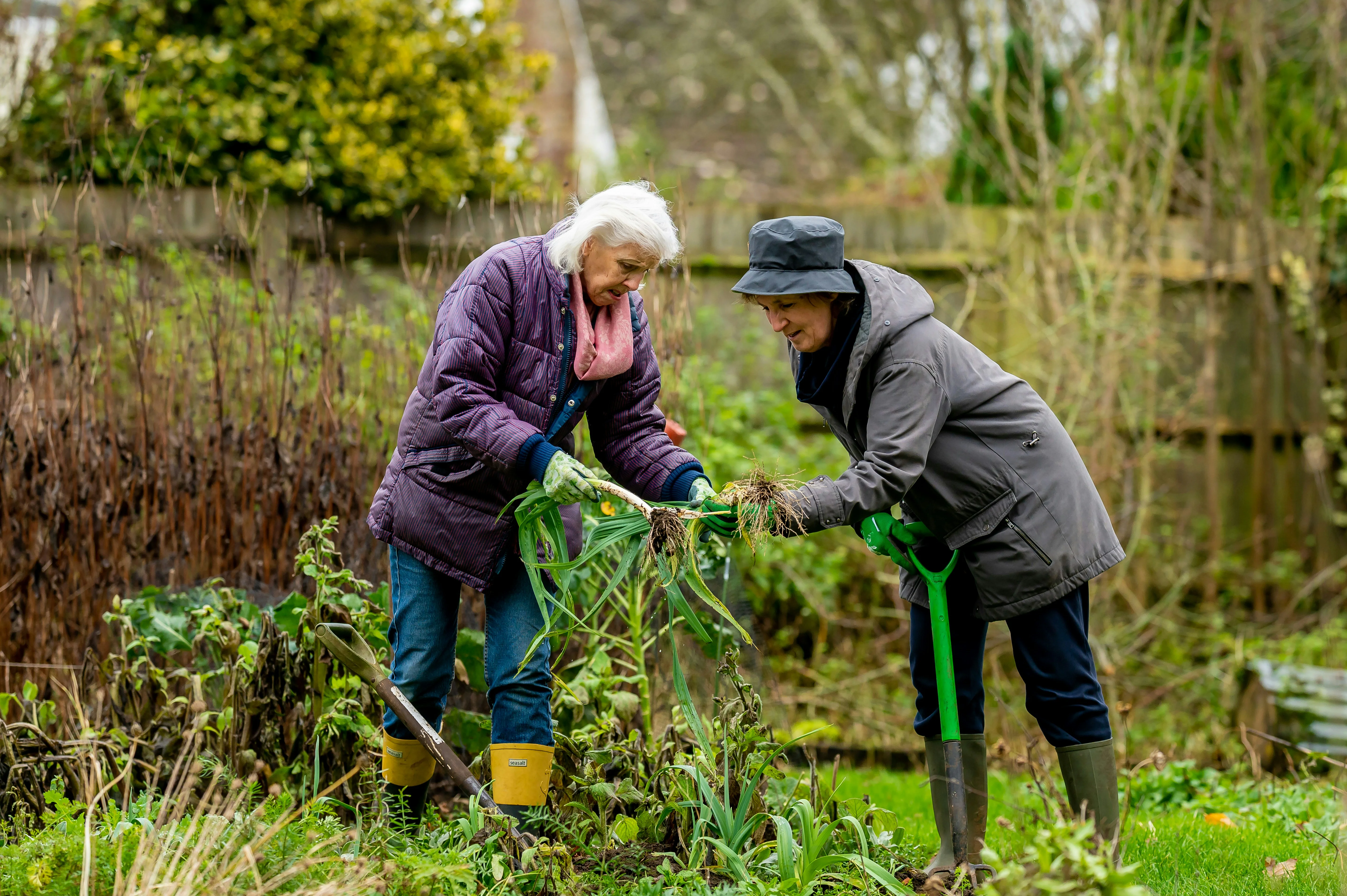 centre-for-ageing-better-14zJoKPpA7g-unsplash