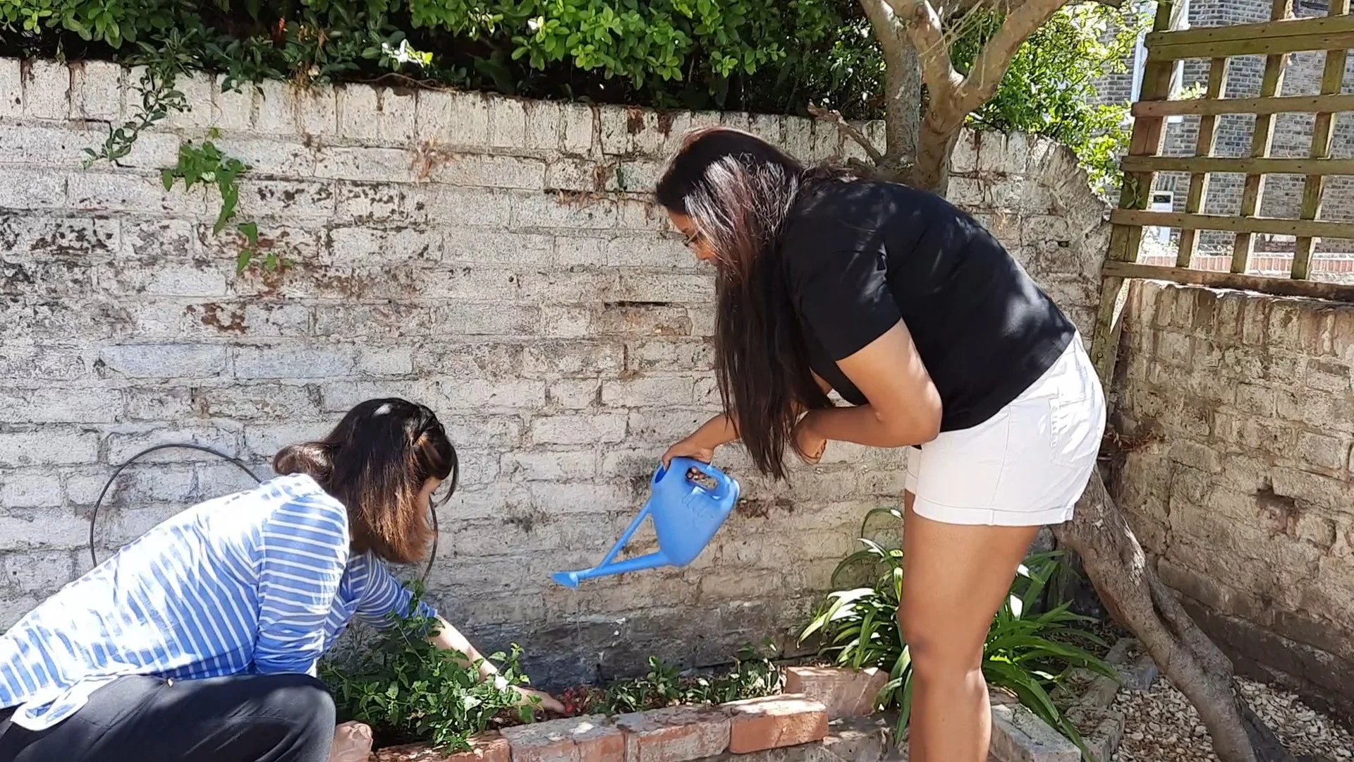 5Jane&Veegardening
