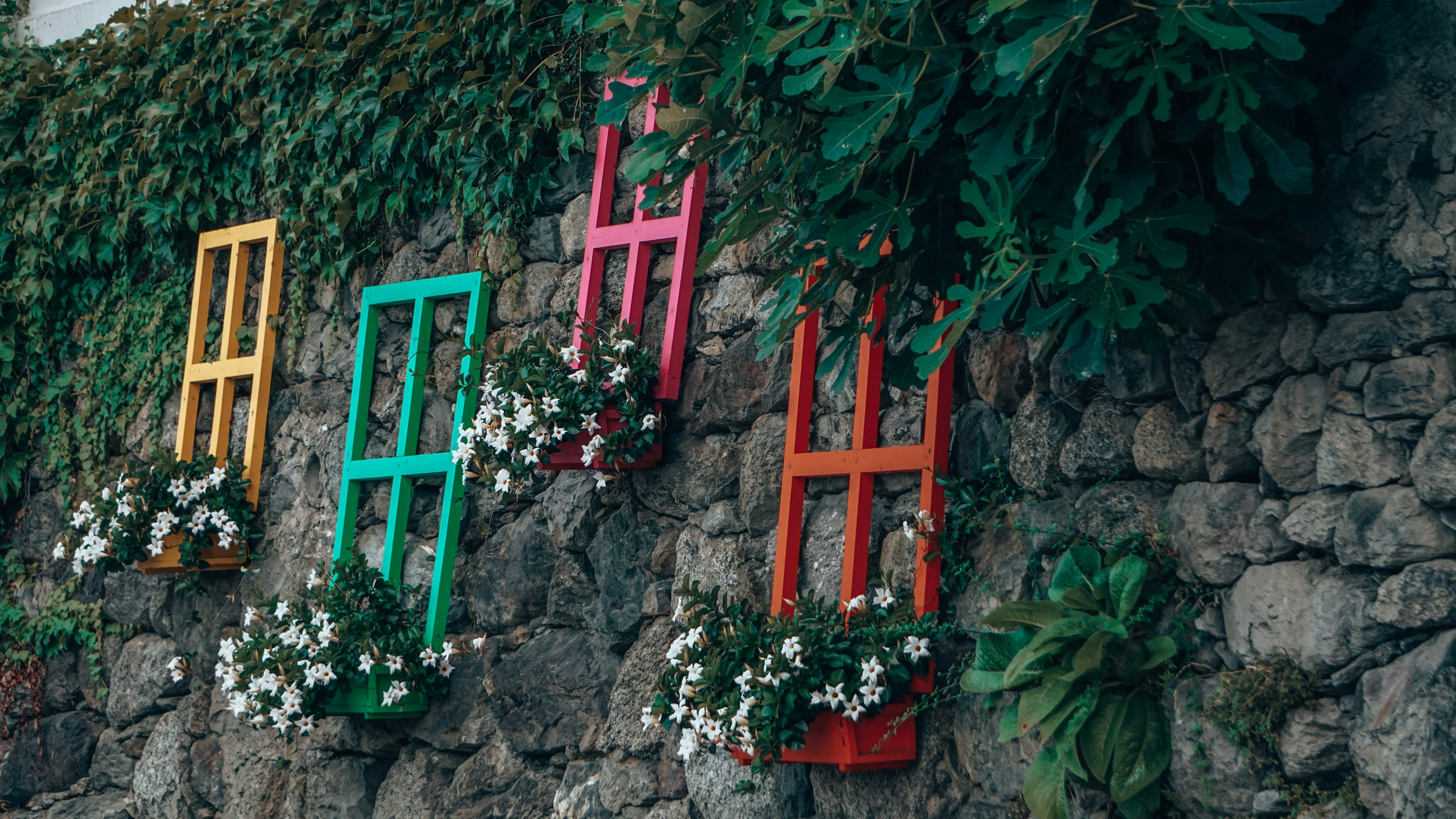 leon-kohle-00iJ-ILzNgU-unsplash