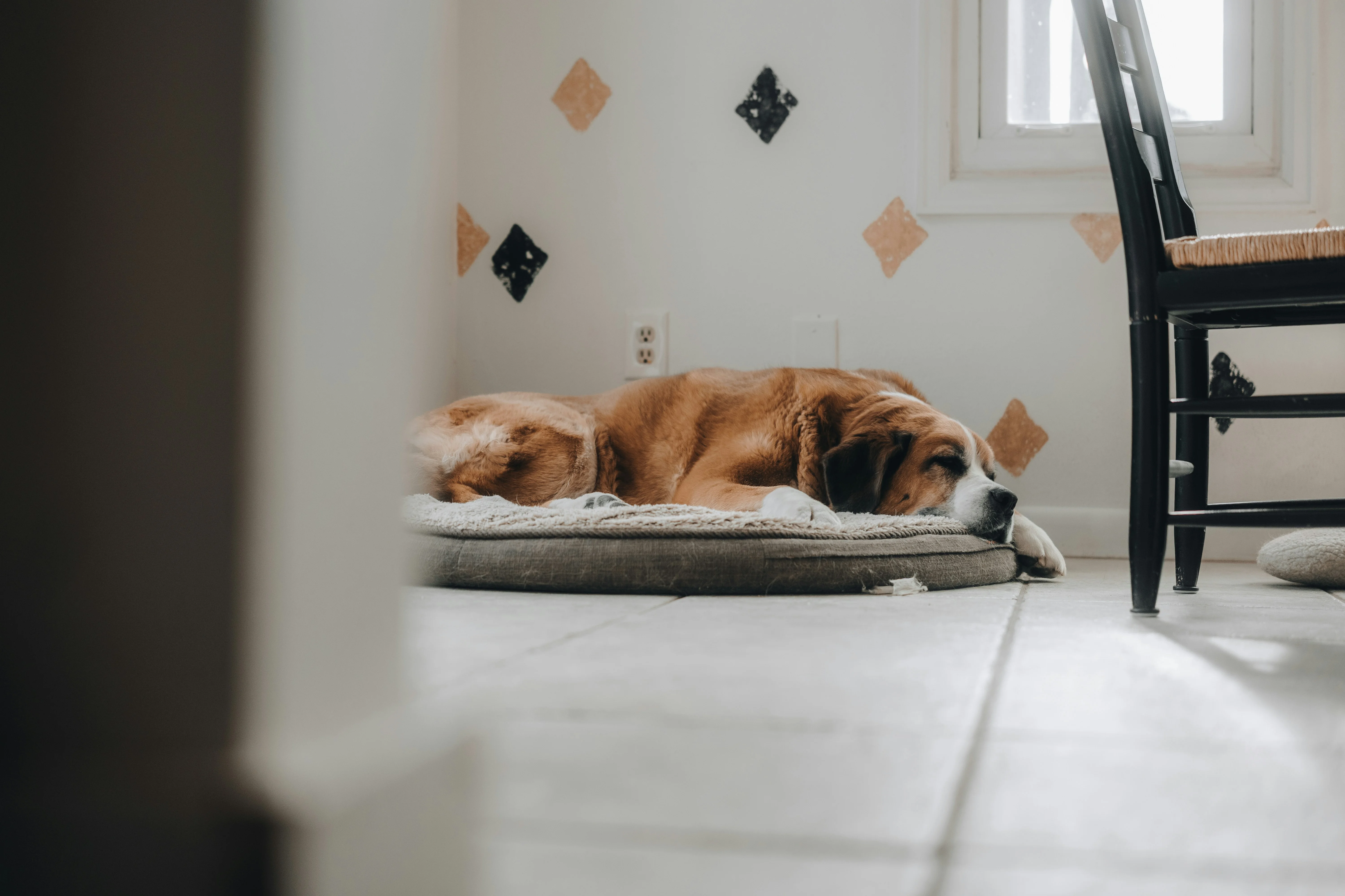 zach-wear-XfPN8PoSKM0-unsplash